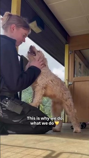 This is why we do what we do! | Dogs Trust