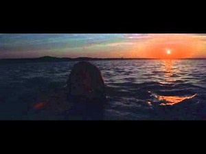 Jaws - Trailer