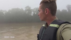 Ranking World's most dangerous arthropods