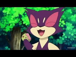 purrloin is popular