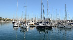 Sailboats anchored in a harbor - Free Stock Video