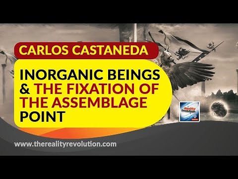 Carlos Castaneda Inorganic Beings And The Fixation Of The Assemblage Point