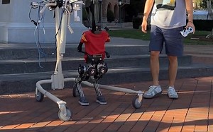 开源人形机器人Hector：人形运动操纵控制｜2023【南加州大学】