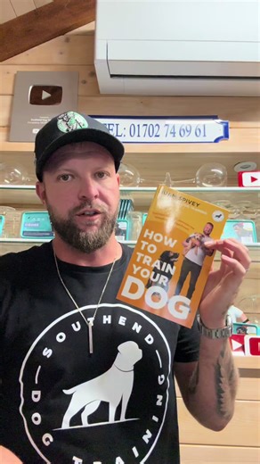 Effective Dog Training Methods