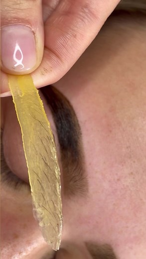 Brow Waxing Training Videos | Eyebrow Grooming Tutorial