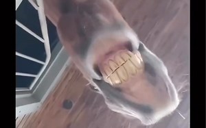 ｜好带劲再来一遍｜～