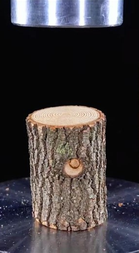 Wood Log vs Hydraulic Press 🌳💥 Satisfying Crush! #shorts #hydraulicpress #wood #satisfying