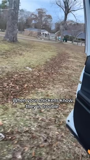 Mobile, Al on Instagram: "They done lost they mind. Knowing they are NOT support be done there"