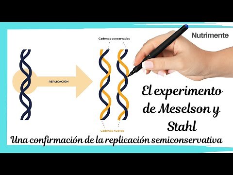 The Meselson-Stahl experiment [A confirmation of semi-conservative replication]