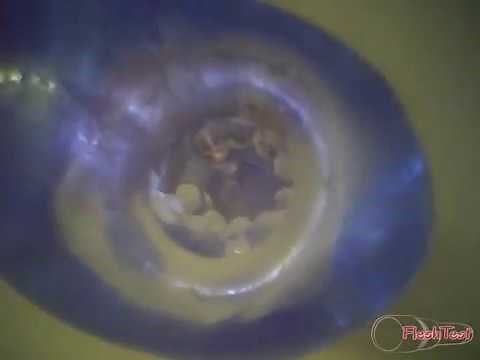 Fleshlight Fleshskins Grip (blue ice) - inside cam