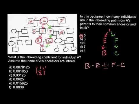 How to calculate inbreeding coefficient