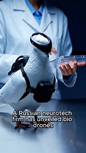 68K views · 432 reactions | Russia has reported experimental research...