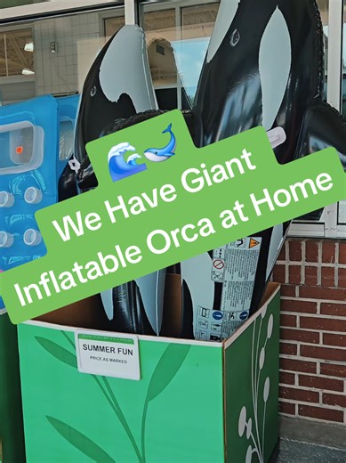 Giant Inflatable Orcas: Must-Have Pool Accessories