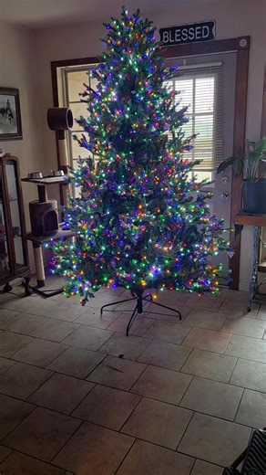 So this is a $500 Christmas Tree. No ornaments, or topper yet, but there she is. | Tony Mathis