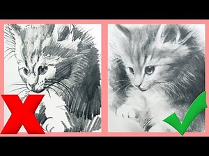 Pencil Drawing Dos and Don'ts for Sketching a Realistic Kitty Cat