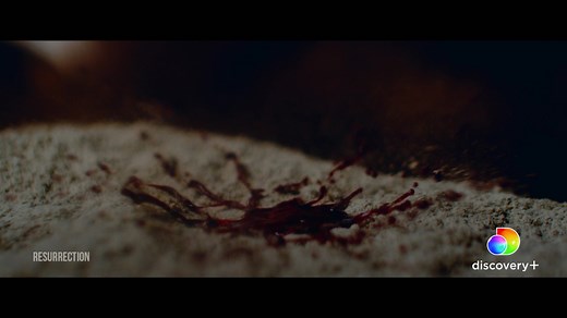 The ultimate story of hope. Watch Resurrection on discovery . Available now. | LightWorkers