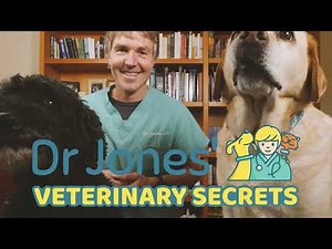 Welcome to Veterinary Secrets!
