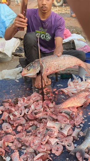 viral big silver fish cutting