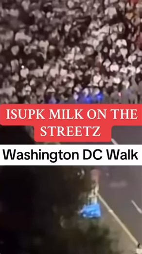 #algorithm #Washington DC #walk #isupk #milkonthestreetz | Thachaan Ahparayam