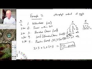 Lesson32 Nested Designs
