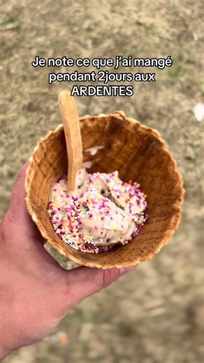 Tout ce que j’ai mangé en 2jours d’ardentes (c’était pas super sain) mais ça montre qu’on peut totalement profiter 🤩. #ardentes #nourriture #manger #alimentation #NutritionBienveillante #recettessaine