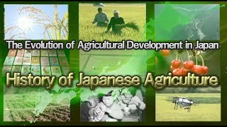 Challenges in boosting Japan’s agricultural exports