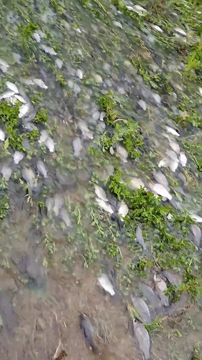 China FunTimes on Reels