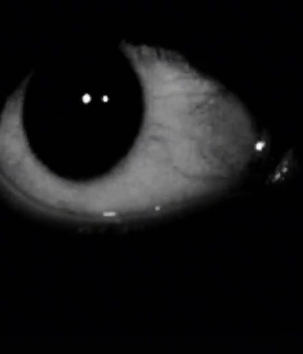 Bob's Eyes in Friday Night Funkin' Explained