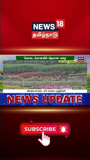 Kodaikanal Rain | Kodaikanal Weather | Hill Station Weather | கொடைக்கானலில் மிதமான மழை
