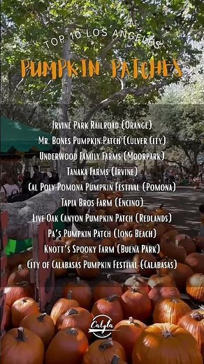 10 Must-Visit Pumpkin Patches Around Los Angeles 🎃🍁 | Best Fall Spots in LA