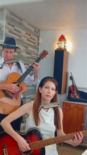 Stumblin' In🕺 Suzi Quatro, Chris Norman-Instrumental 🎸Taylor Guitar, Bass 🎻 Harmonica Cover🎤