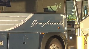 The Greyhound Diaries: exploring American society