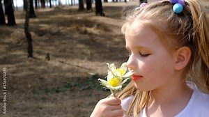 Girl picking first spring flowers in a field. Happy child enjoying nature outdoors. Sunlit little girl smelling fresh flowers