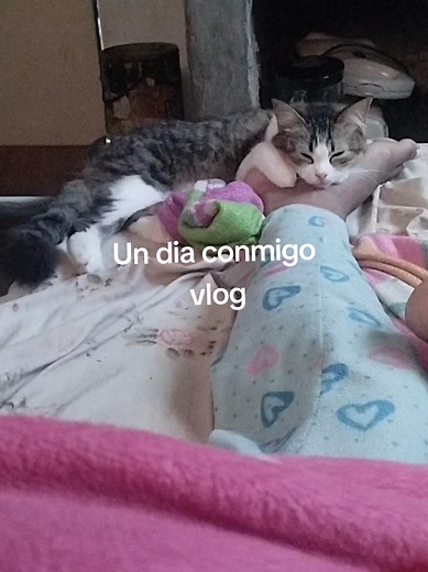 Un día conmigo vlog de mi día lunes inicio de semana con la mejor actitud la playa me dejó recargada de buenas y positivas energias aquí les muestro todo lo que hice, limpie mi casa cocine comi merienda, y todo en su mejor punto 10/10. Masterbets365 me a ayudado mucho estoy muy agradecida, el link está en mi perfil.🫶🏽 Gratitud infinita✨✨✨✨✨ #undiaconmigo #vlog #minivlog #midia #lunes #energiaspositivas #gratitud #gratitude #creatorsearchinsights
