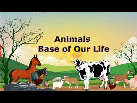 Animals Base Of Our Life, Class 5 EVS SSC | Digital Teacher
