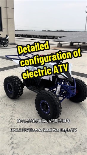 Explore the 60V 1200W Electric Dune Buggy Features