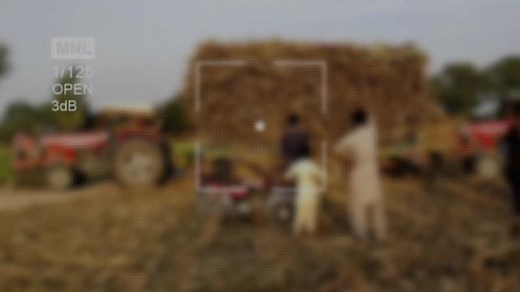 🤣🤣#رمانہ_سیال #پنڈاں_آلے #جھنگ_آلہ #tractors #MF385 #traali #کھیتی #223_ala #fypage #fypシ #fypage