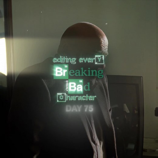 Tortuga Breaking Bad: A Tribute to the Infamous Character