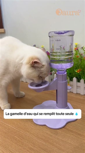 Comment cette fontaine fonctionne SANS électricité ? 😳💧 #cat #chat #accessoireschat