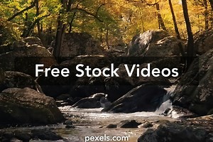 Vertical Nature Videos, Download The BEST Free 4k Stock Video Footage & Vertical Nature HD Video Clips
