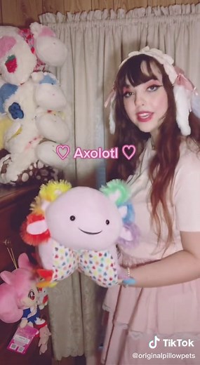 Pillow Pets on TikTok