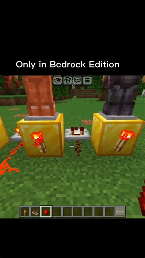 Bedrock Edition Only #minecraft #minecraftshorts