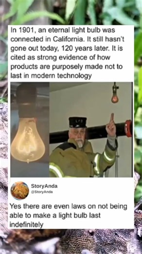 A man had a century-old light bulb that never went out.