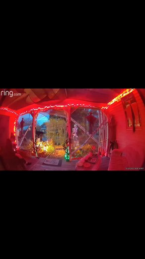 hello.... it's me.... #farts #farting #farttok #womenwhofart #fartsfordays #fartsarefunny #girlswhofart #fart