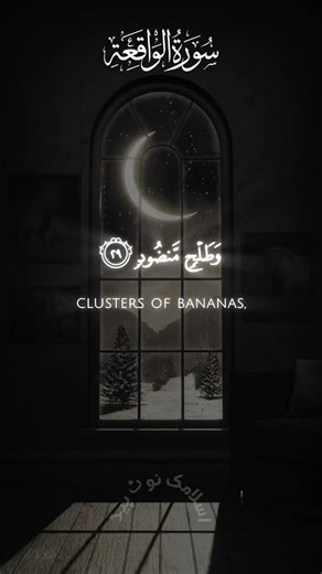 Surah Al-Waqiah 29–32 | Endless Blessings of Jannah ❄️ #QuranShorts #IslamicNotepad