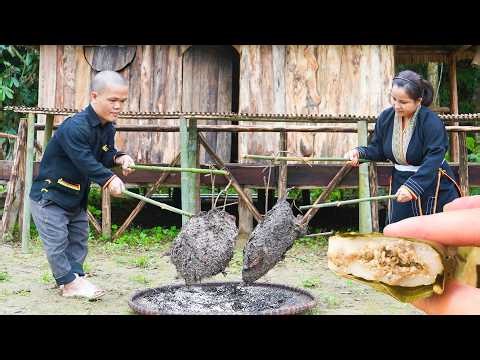 Dwarf Family Harvesting Ant Eggs for Baking and Peaceful Rural Life.