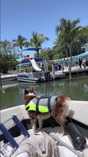 Our lunch trip to North Captiva Mangos restaurant