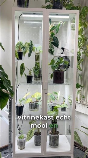 IKEA Milsbo als kas voor binnenshuis