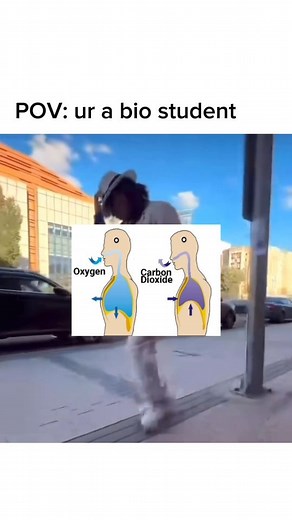 OL Science Hub (Ong And Low Eduhub) 🇸🇬 | Glycolysis, the Krebs cycle, and the electron transport chain are three key stages of cellular respiration, a process that converts glucose... | Instagram