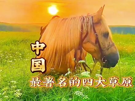 最美四大草原，你去过几个？#治愈系风景 #旅行大玩家 #旅游攻略 #带ta去旅行